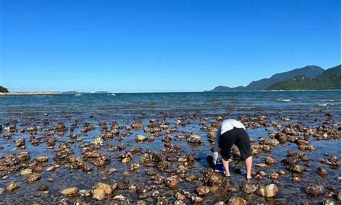 深圳海边旅游攻略赶海推荐_深圳海边旅游攻略赶海推荐一下