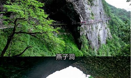 重庆金佛山旅游攻略_重庆金佛山景区门票多少