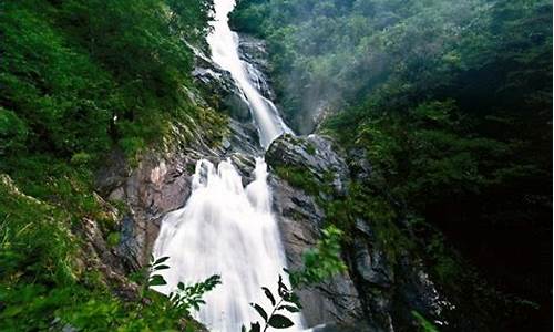 天目山旅游攻略一天游_天目山旅游攻略一天游多少钱