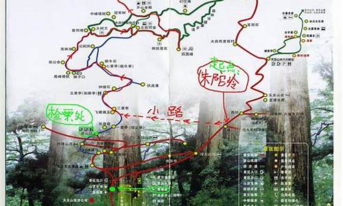 东天目山旅游路线_东天目山游玩攻略