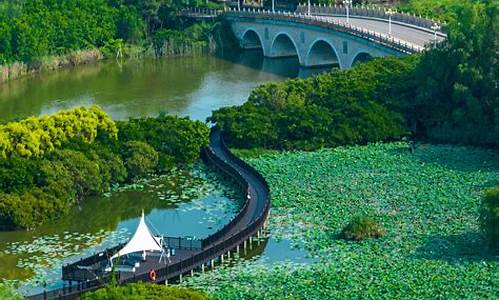 广州南沙湿地公园景点介绍_广州南沙湿地公园景点介绍图片