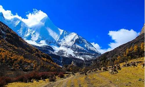 稻城亚丁旅游攻略自由行路线_稻城亚丁旅游攻略自由行路线图