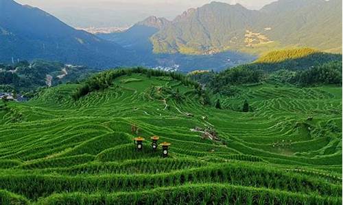 丽水云和梯田旅游攻略_丽水云和梯田旅游攻略文档