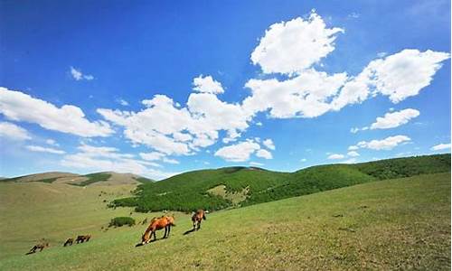 丰宁坝上草原旅游攻略马蜂窝博客最新_丰宁坝上草原游玩攻略